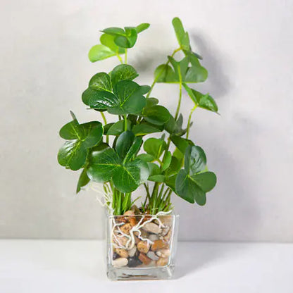 Bonsai, Potted Plants, Artificial Greenery